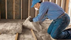 Best Crawl Space Insulation  in Ashburn, VA